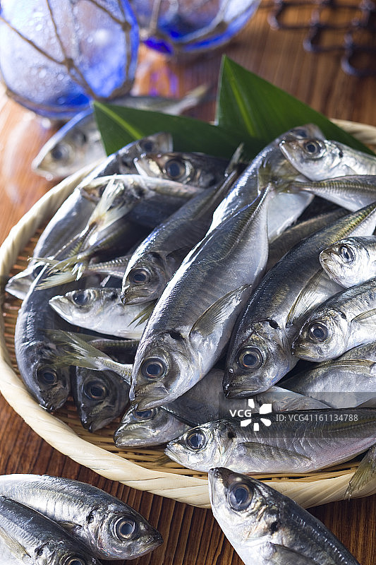 日本竹荚鱼图片素材