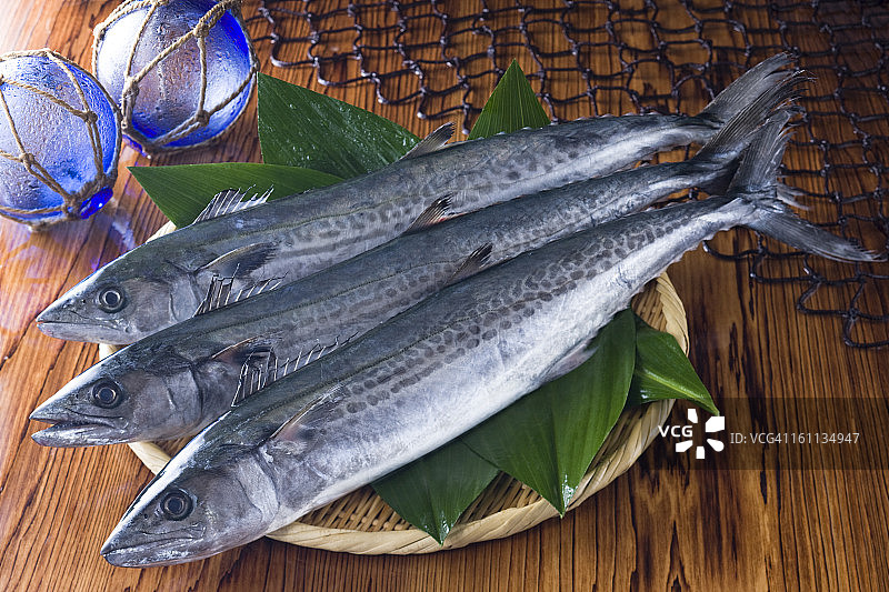 日式马鲛鱼图片素材