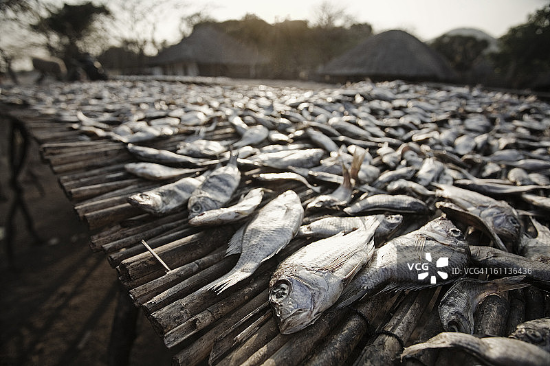 户外市场出售的鱼图片素材