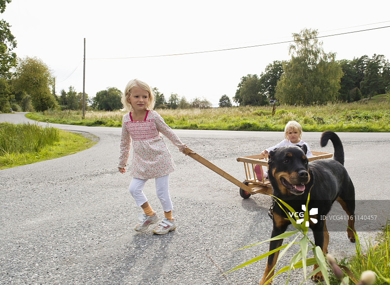 孩子们在外面遛狗图片素材