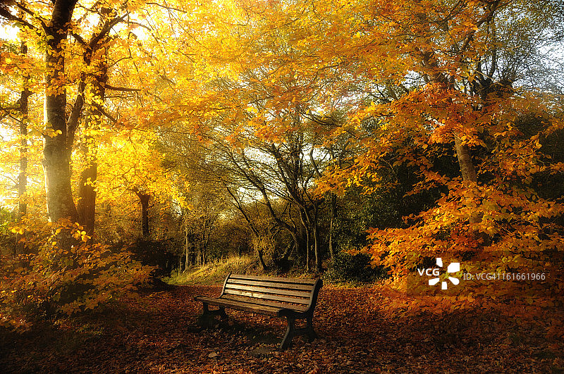 金色休息时间图片素材
