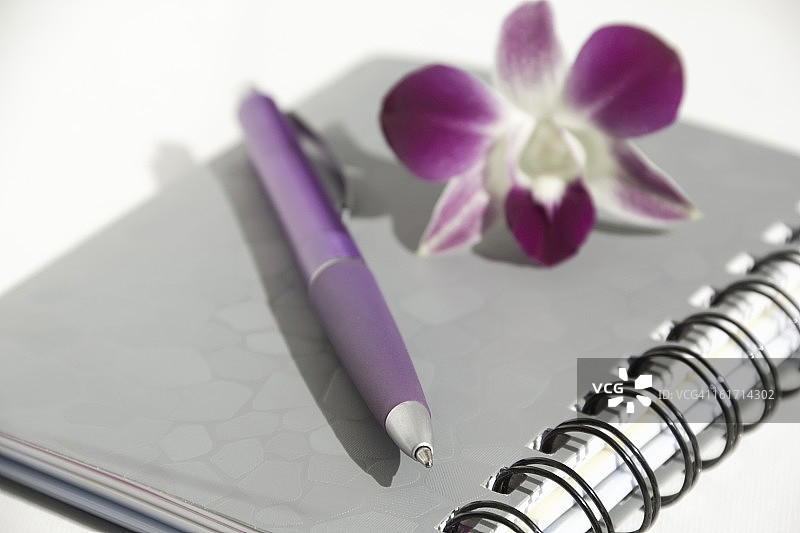 笔记本、笔和兰花图片素材