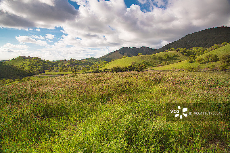 山麓草地图片素材