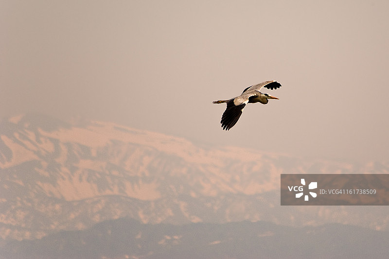 白山自然风光图片素材