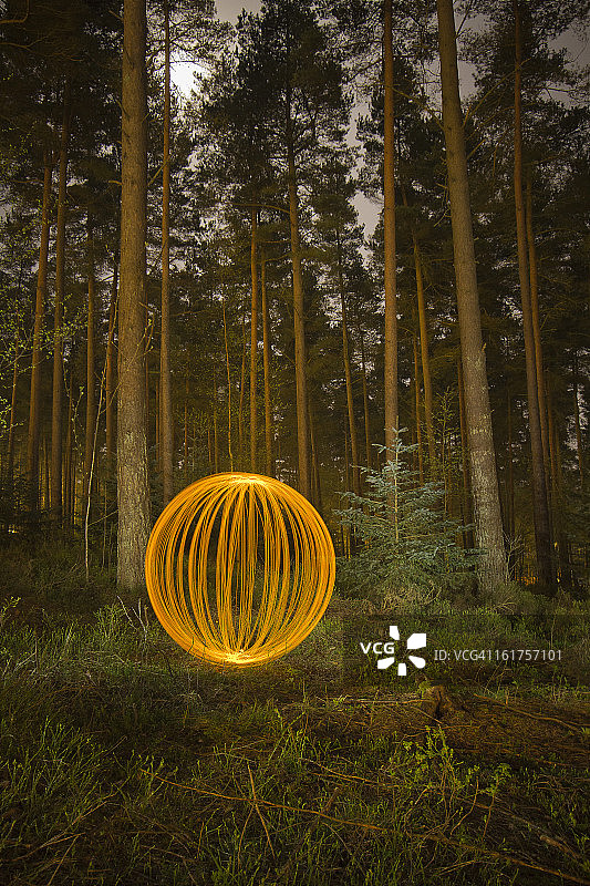 温菲尔森林图片素材
