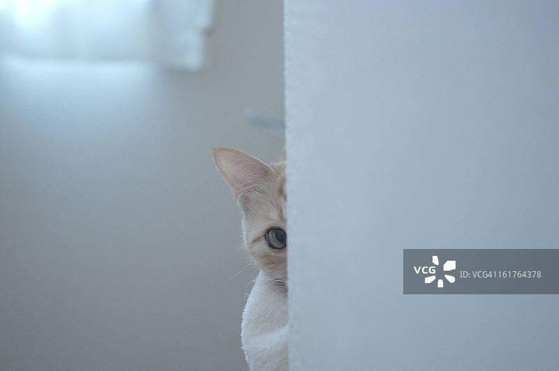 给我拍照？图片素材