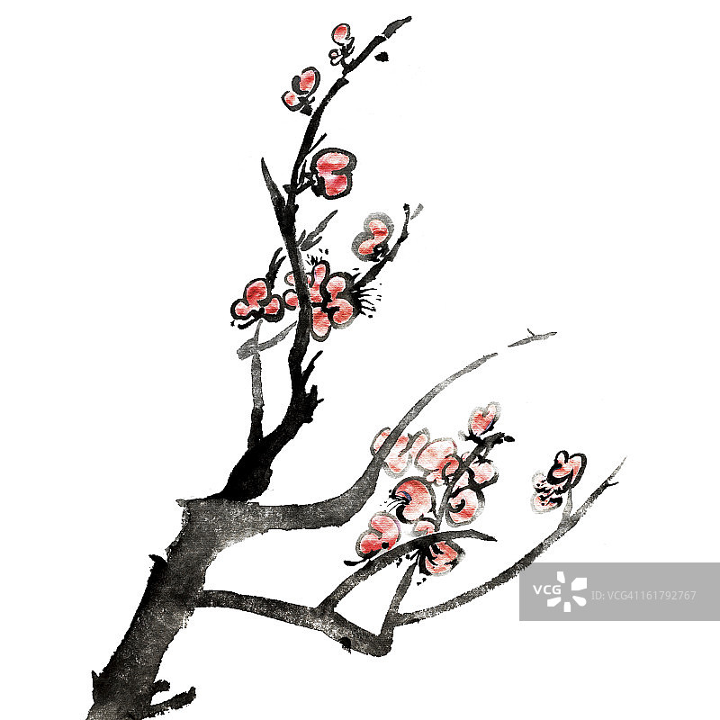 梅花图片素材