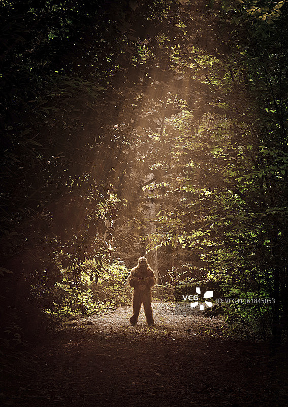 大脚怪出现在泥泞的道路上图片素材