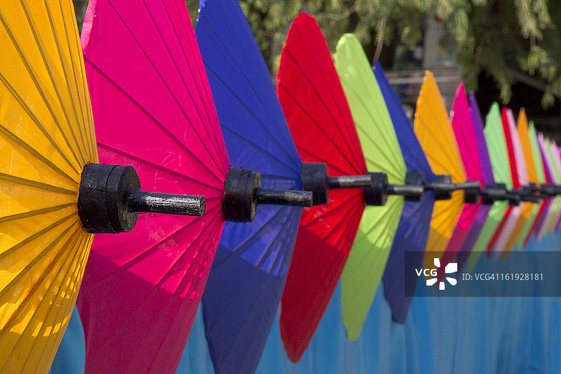 泰国北部伞节图片素材