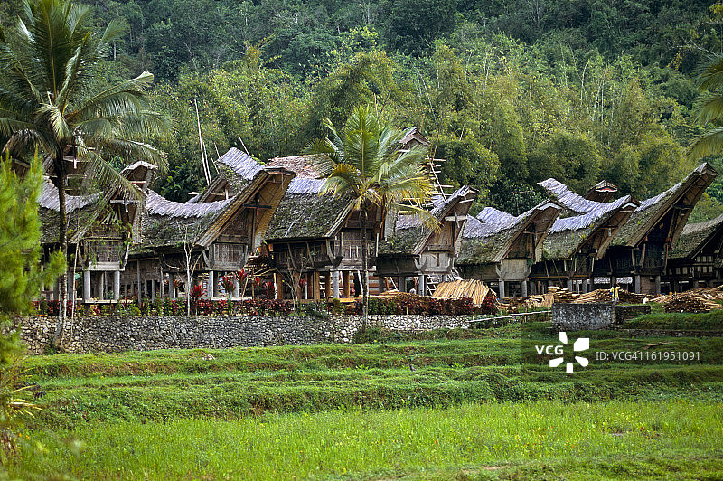 托拉雅人的传统祖屋图片素材