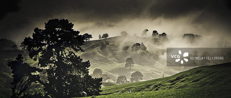唐斯丘陵上的雾图片素材