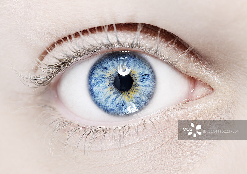 蓝色眼睛微距图片素材