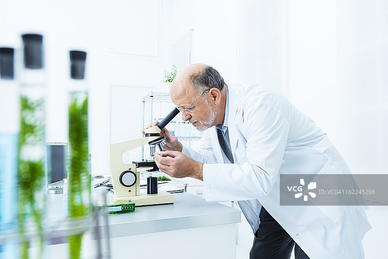 实验室里的生物学家图片素材