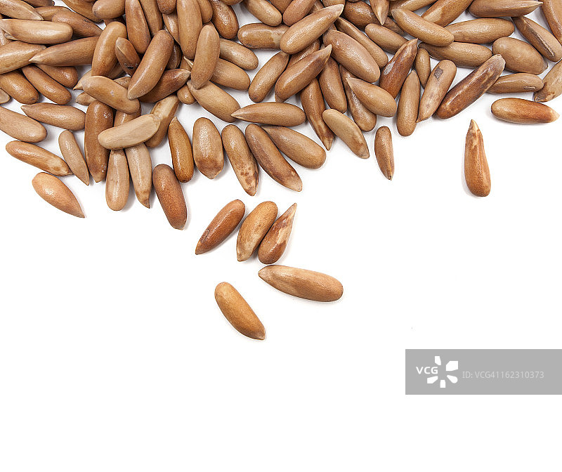 巴西松子图片素材