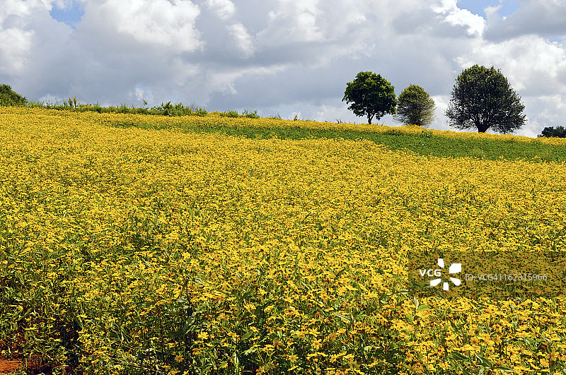 缅甸掸邦的自然风光图片素材