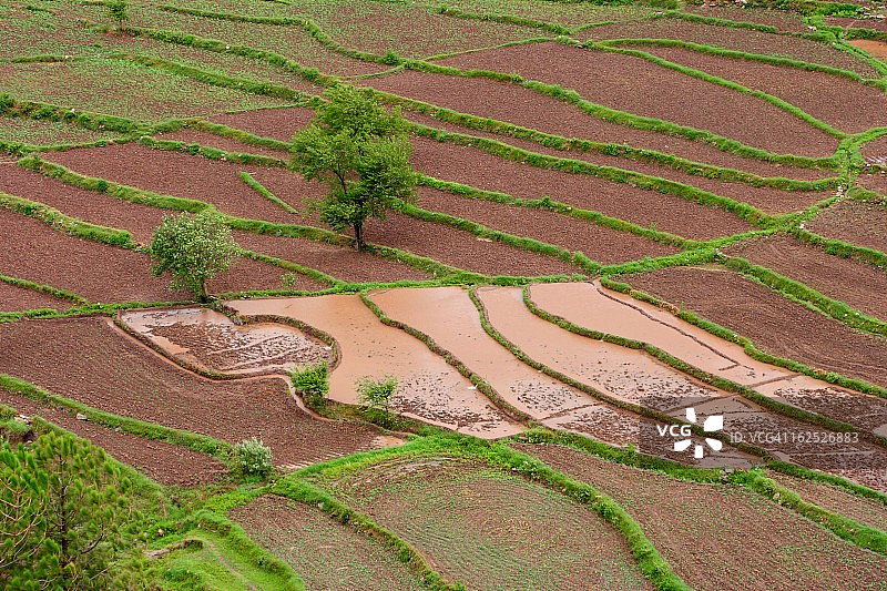为新的作物做准备图片素材