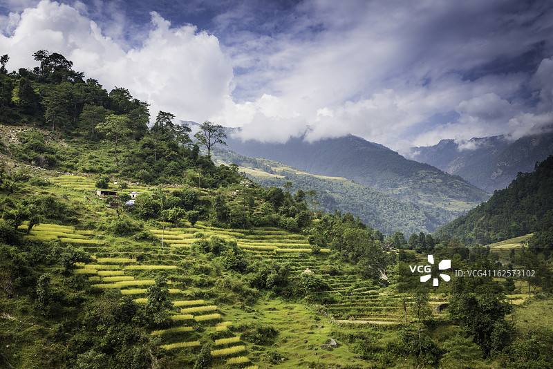 喜马拉雅山脉壮丽山空下的翠绿山谷梯田图片素材