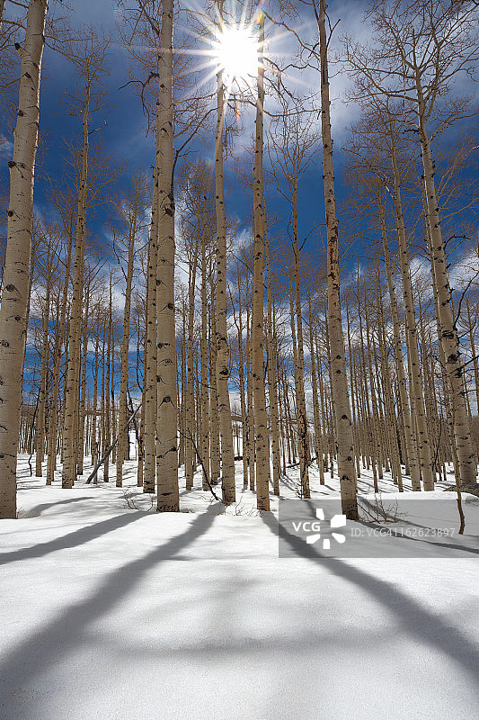 冬日温暖图片素材