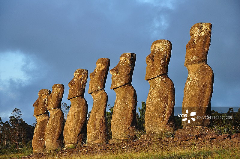 阿胡阿基维图片素材
