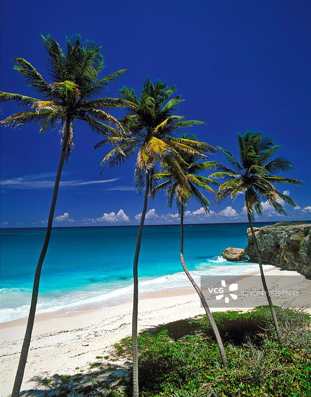 热带海滩，巴巴多斯图片素材