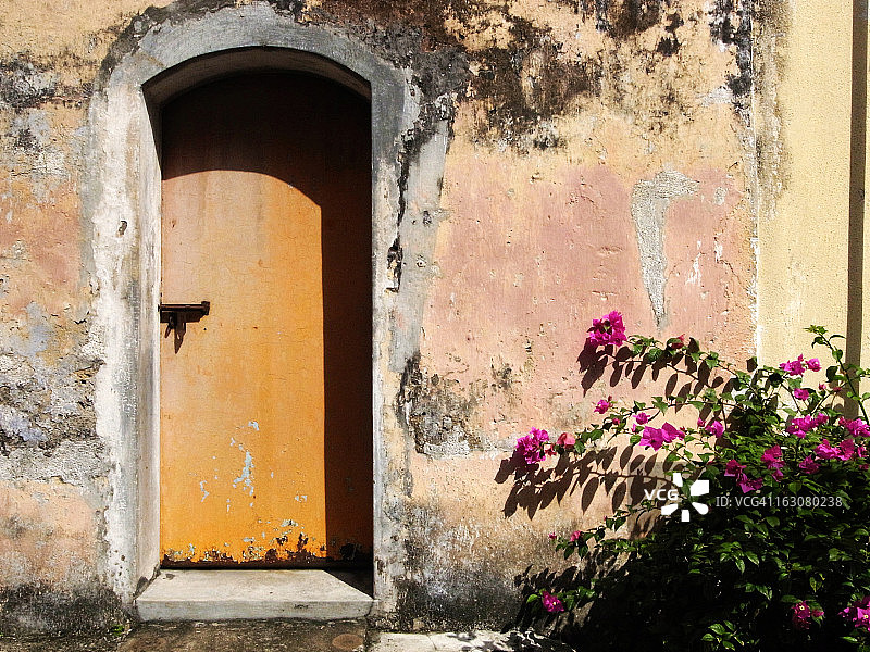 车道与鲜花图片素材