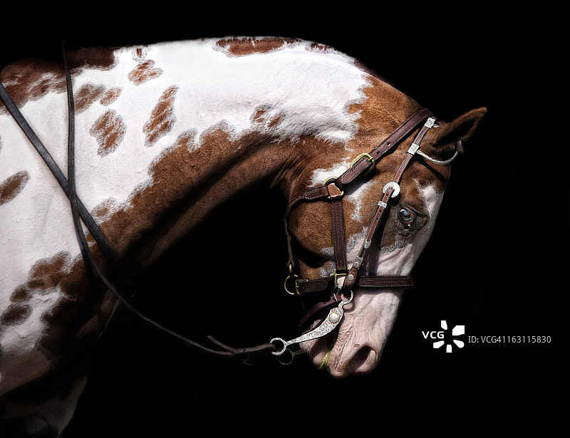 黑色油漆图片素材