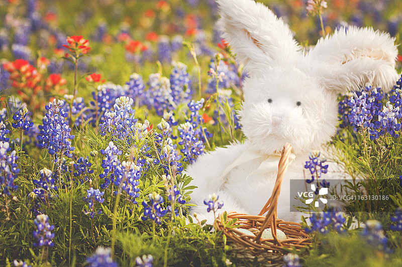 花田里的毛绒兔子图片素材