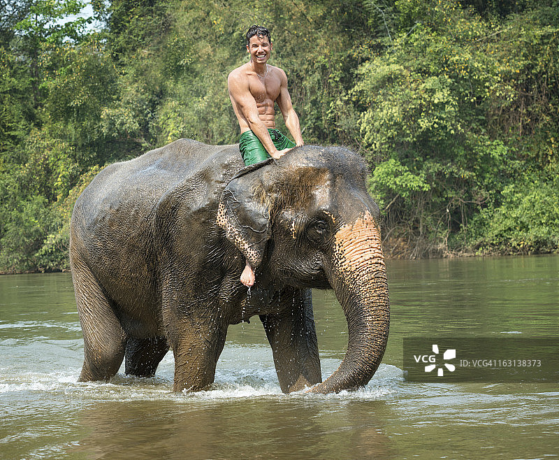 男人骑在大象上，热带雨林图片素材
