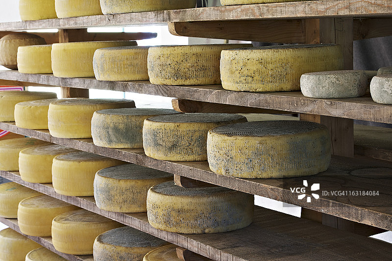 工厂中老化的阿西亚戈奶酪图片素材