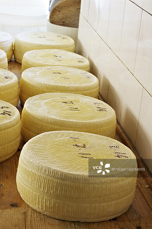 工厂中老化的阿西亚戈奶酪图片素材