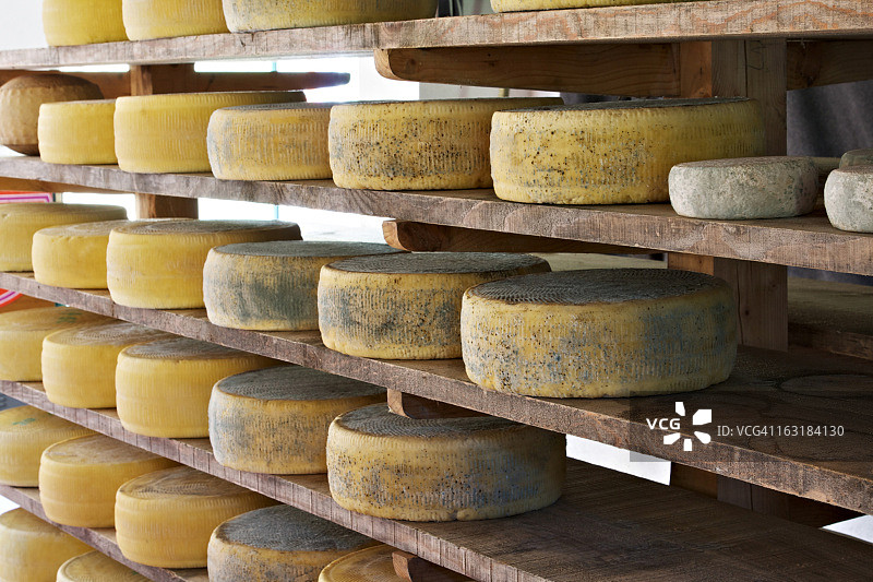 工厂中老化的阿西亚戈奶酪图片素材