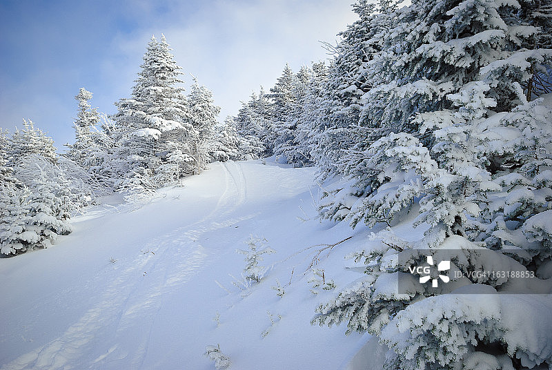 白色小路图片素材