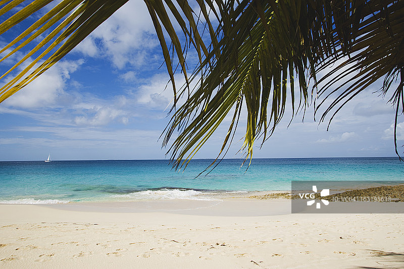 海龟湾海滩图片素材