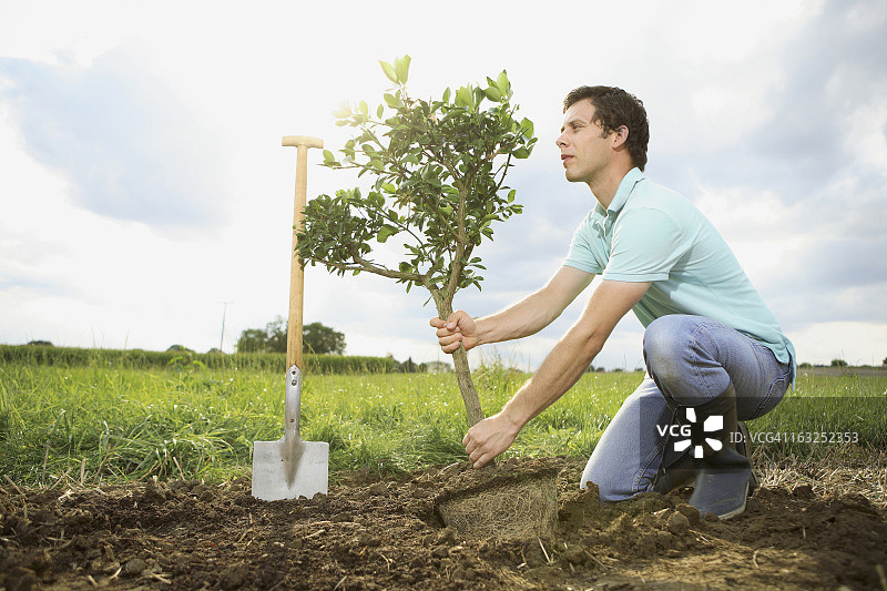 德国巴伐利亚，中年男子在田野上种树图片素材