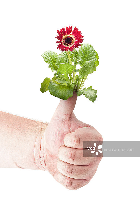 园艺达人图片素材