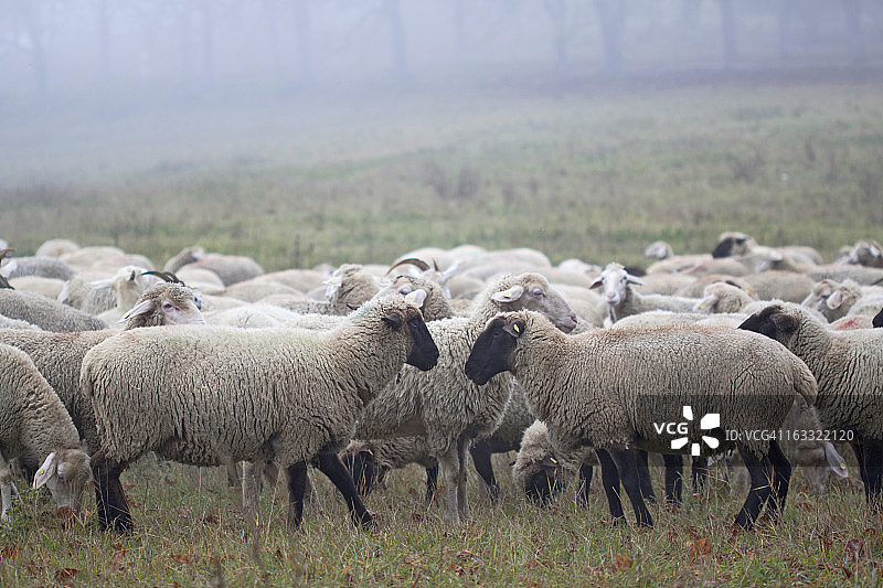 面对面图片素材