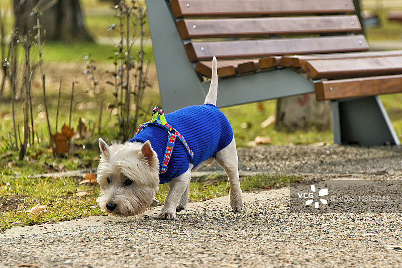 嗅嗅！你闻到春天的气息了吗？图片素材