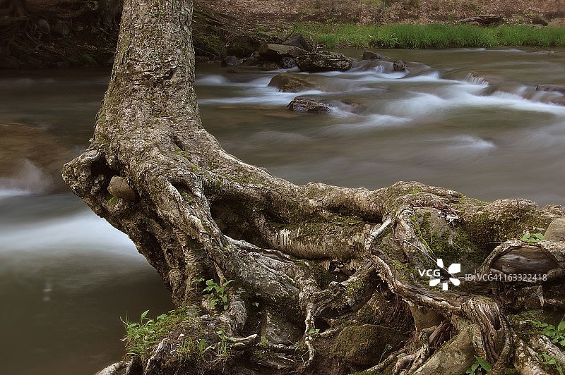 根部研究图片素材