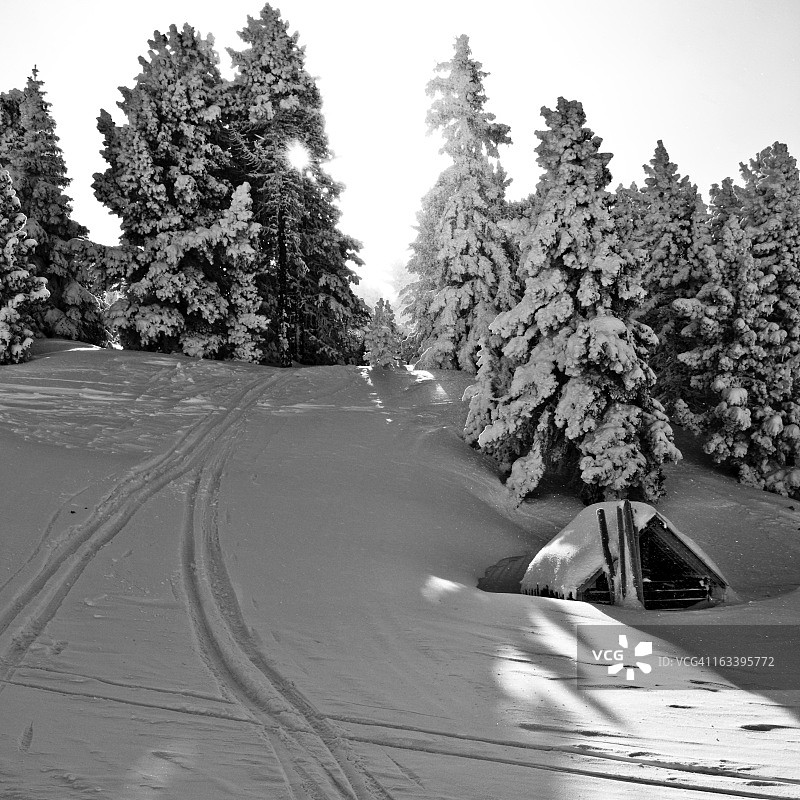 小卡巴农图片素材