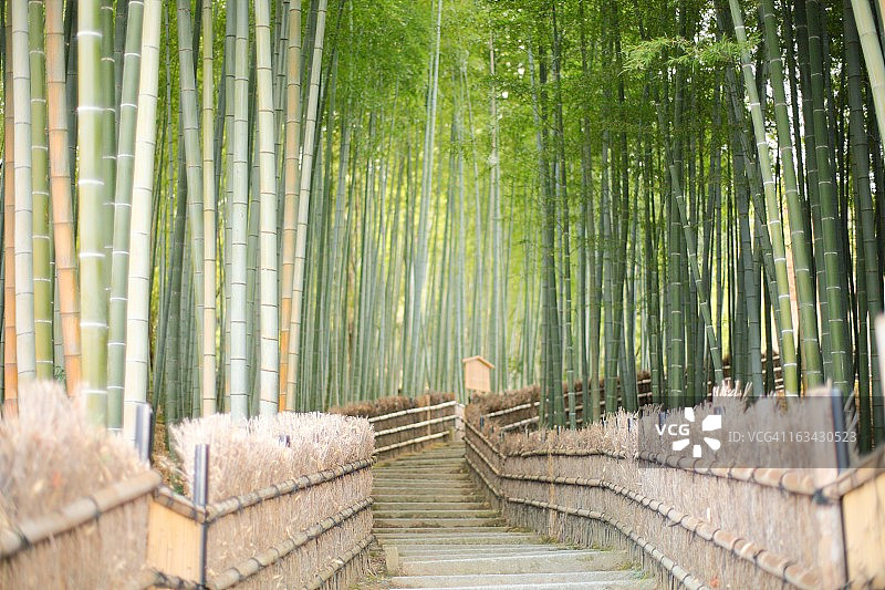 化野念佛寺图片素材