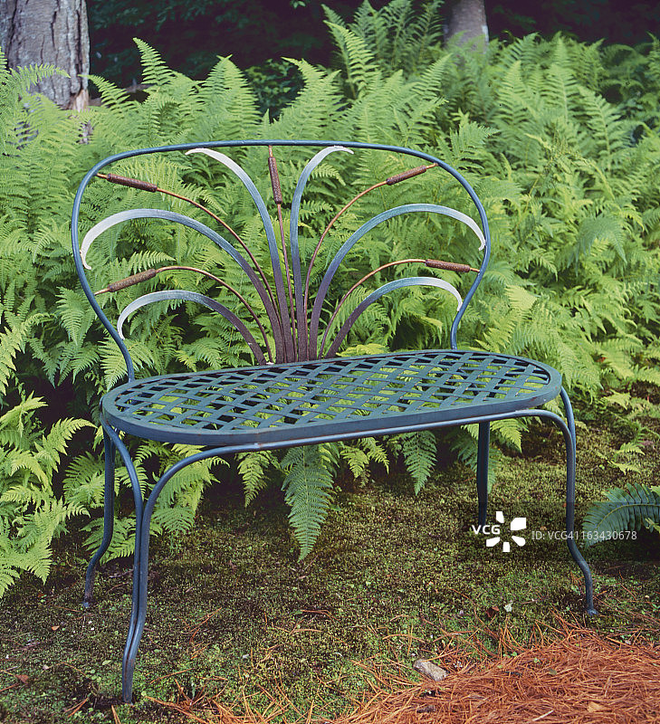 树林中的长椅细节图片素材