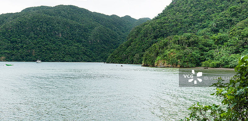 河流流入热带雨林，西表岛图片素材