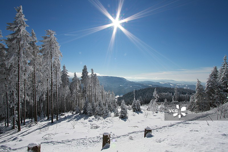 冬季黑森林图片素材