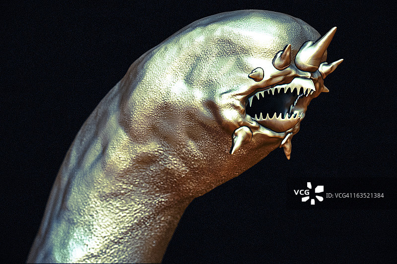 热液蠕虫图片素材