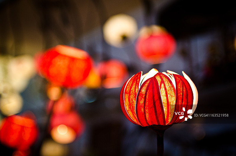 散景光效花蕾图片素材