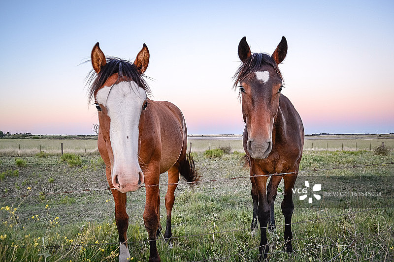 好奇心图片素材