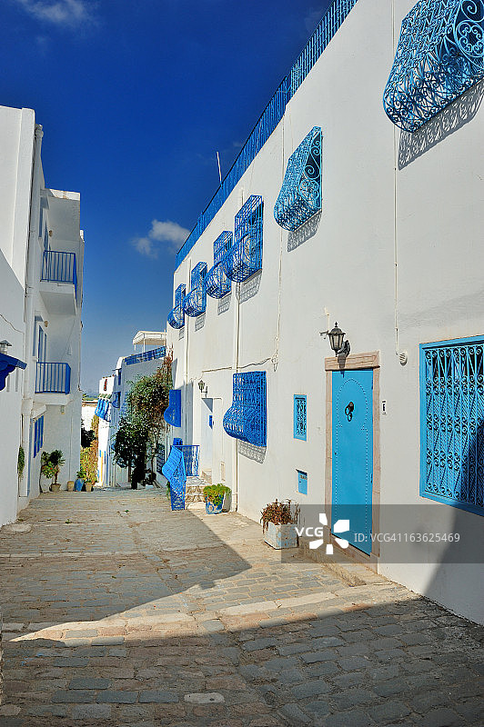 西迪布赛义德图片素材