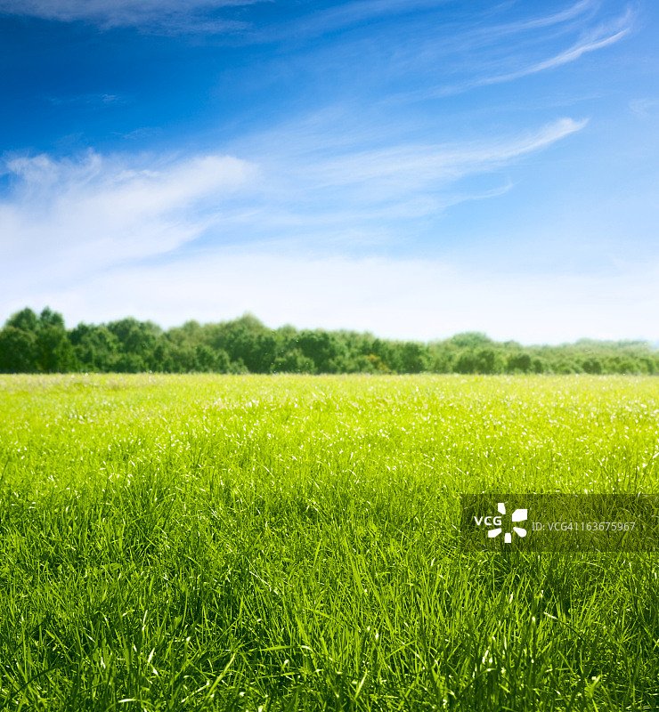 草地上的春天：新鲜的草和美丽的云彩图片素材
