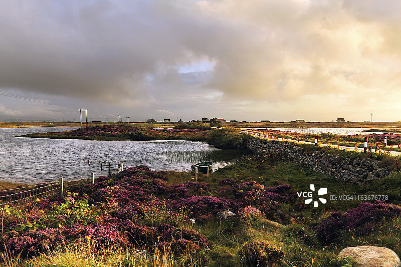 石楠田上空的壮丽日落图片素材