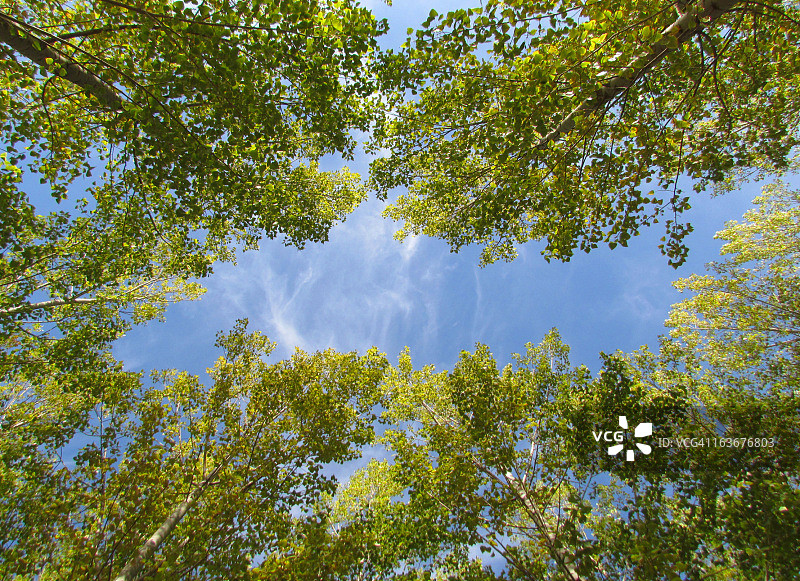 阿拉莫天空图片素材